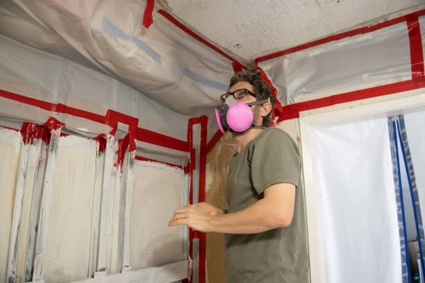Best Water Damage & Mold Remediation  in Pampa, TX
