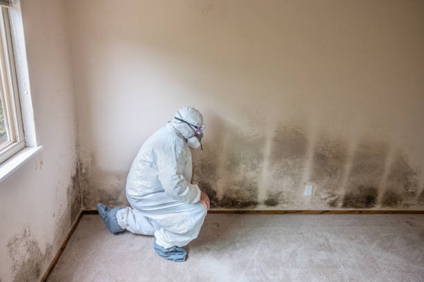 Best Post-Remediation Verification Testing  in Pampa, TX